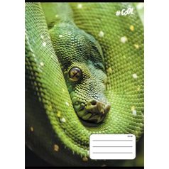   COOL BY VICTORIA Füzet, tűzött, A5, vonalas, 32 lap, 1. osztály, COOL BY VICTORIA, "Animals", 14-32