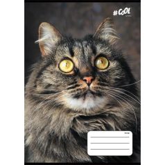   COOL BY VICTORIA Füzet, tűzött, A5, vonalas, 32 lap, 1. osztály, COOL BY VICTORIA, "Animals", 14-32