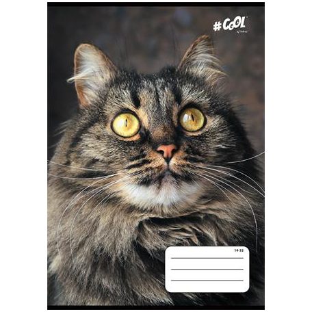 COOL BY VICTORIA Füzet, tűzött, A5, vonalas, 32 lap, 1. osztály, COOL BY VICTORIA, "Animals", 14-32