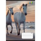 COOL BY VICTORIA Füzet, tűzött, A5, vonalas, 32 lap, 3. osztály, COOL BY VICTORIA, "Horses", "12-32"