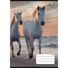   COOL BY VICTORIA Füzet, tűzött, A5, vonalas, 32 lap, 3. osztály, COOL BY VICTORIA, "Horses", "12-32"