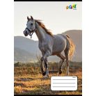 COOL BY VICTORIA Füzet, tűzött, A5, vonalas, 32 lap, 3. osztály, COOL BY VICTORIA, "Horses", "12-32"