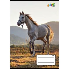   COOL BY VICTORIA Füzet, tűzött, A5, vonalas, 32 lap, 3. osztály, COOL BY VICTORIA, "Horses", "12-32"