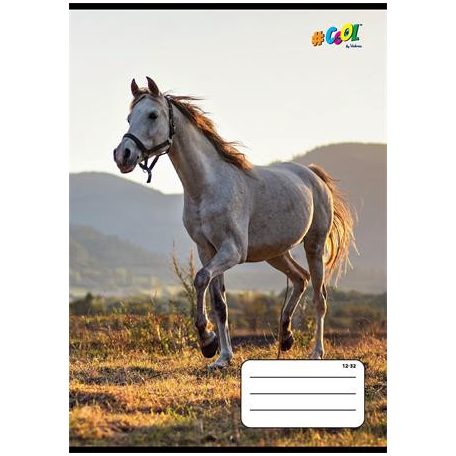 COOL BY VICTORIA Füzet, tűzött, A5, vonalas, 32 lap, 3. osztály, COOL BY VICTORIA, "Horses", "12-32"