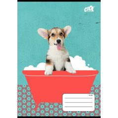   COOL BY VICTORIA Füzet, tűzött, A5, vonalas, 32 lap, 2. osztály, COOL BY VICTORIA "Bath", "16-32"