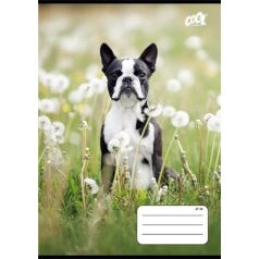   COOL BY VICTORIA Füzet, tűzött, A5, kockás, 32 lap, COOL BY VICTORIA "B&W dogs", "27-32"