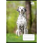 COOL BY VICTORIA Füzet, tűzött, A5, kockás, 32 lap, COOL BY VICTORIA "B&W dogs", "27-32"