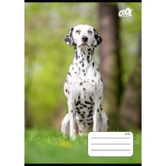   COOL BY VICTORIA Füzet, tűzött, A5, kockás, 32 lap, COOL BY VICTORIA "B&W dogs", "27-32"