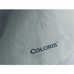   COLORIS Bélyegzőfesték, 50 ml, textilhez, COLORIS, "Berolin Ariston", fehér