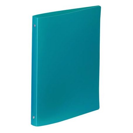 VIQUEL Gyűrűs könyv, 4 gyűrű, 25 mm, A4, PP, VIQUEL "Essentiel", zöld