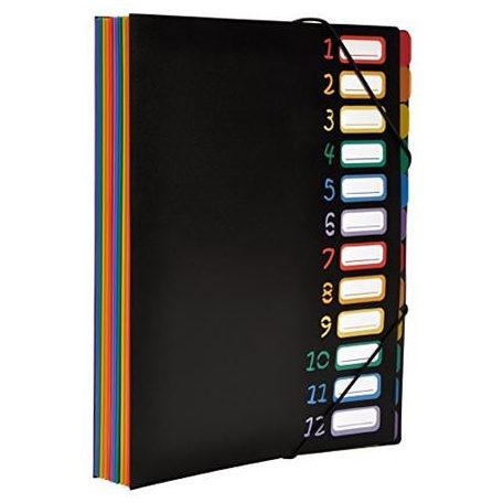 VIQUEL Irattartó mappa, gumis, 12 részes, VIQUEL "Rainbow Class", fekete