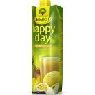 RAUCH Gyümölcslé, 100%, 1 l, RAUCH "Happy day", multivitamin