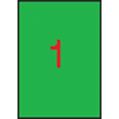   APLI Etikett, 210x297 mm, színes, APLI, neon zöld, 100 etikett/csomag