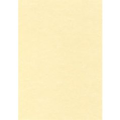   APLI Előnyomott papír, A4, 95 g, pergamen hatású, APLI, pezsgő