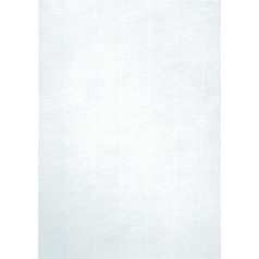 APLI Előnyomott papír, A4, 220 g, APLI, törtfehér