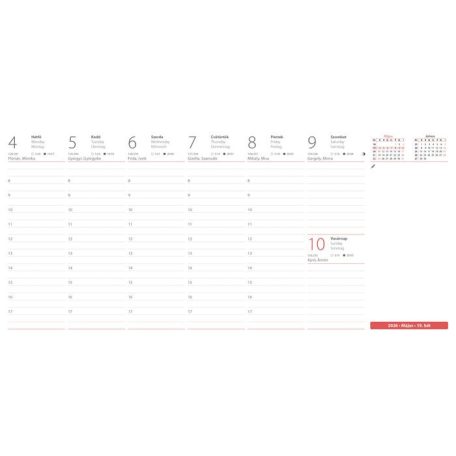 DAYLINER Naptár, asztali, fekvő, DAYLINER, "Oktáv"