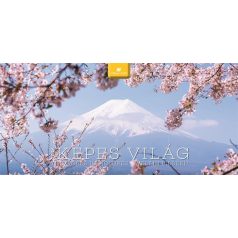   DAYLINER Naptár, asztali, álló, DAYLINER "Képes világ"