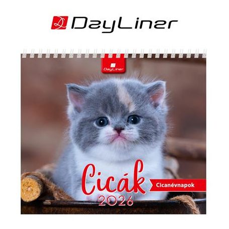 DAYLINER Naptár, asztali, álló, DAYLINER "Cicák"