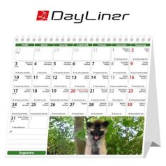   DAYLINER Naptár, asztali, álló, DAYLINER "Kutyák"