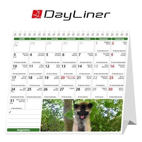 DAYLINER Naptár, asztali, álló, DAYLINER "Kutyák"