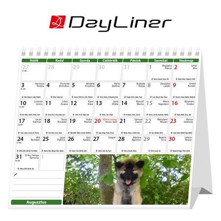 DAYLINER Naptár, asztali, álló, DAYLINER "Kutyák"