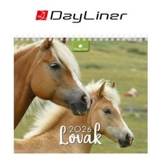   DAYLINER Naptár, asztali, álló, DAYLINER "Lovak"