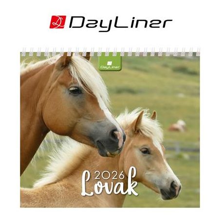 DAYLINER Naptár, asztali, álló, DAYLINER "Lovak"