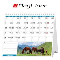   DAYLINER Naptár, asztali, álló, DAYLINER "Lovak"