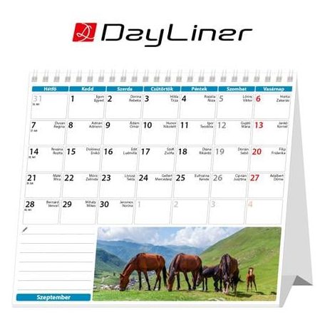 DAYLINER Naptár, asztali, álló, DAYLINER "Lovak"