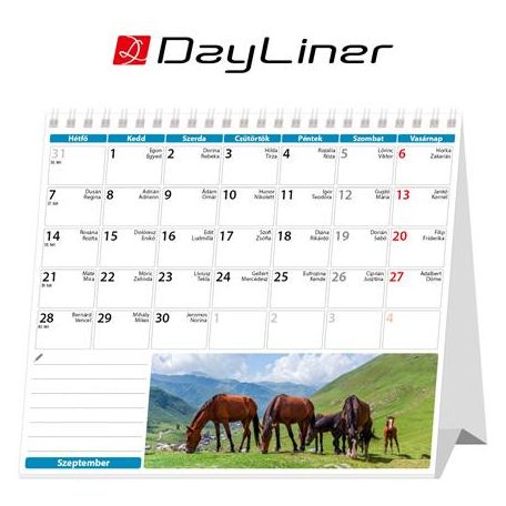 DAYLINER Naptár, asztali, álló, DAYLINER "Lovak"