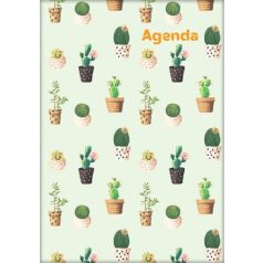  DAYLINER Naptár, tervező, A5, heti, DAYLINER, "Colors", Cactus