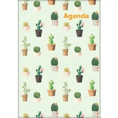   DAYLINER Naptár, tervező, A5, heti, DAYLINER, "Colors", Cactus