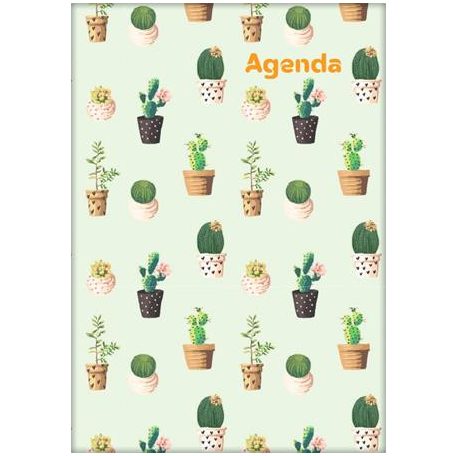 DAYLINER Naptár, tervező, A5, heti, DAYLINER, "Colors", Cactus