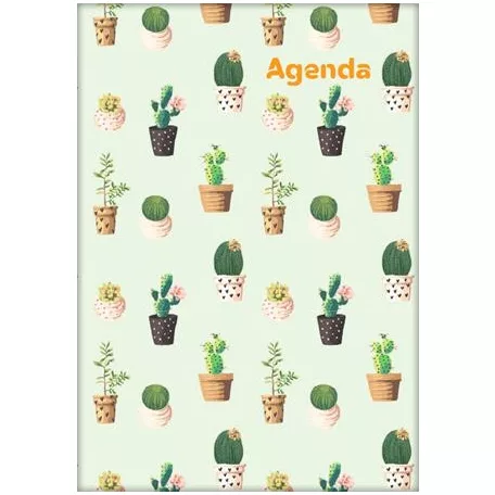 DAYLINER Naptár, tervező, A5, heti, DAYLINER, "Colors", Cactus