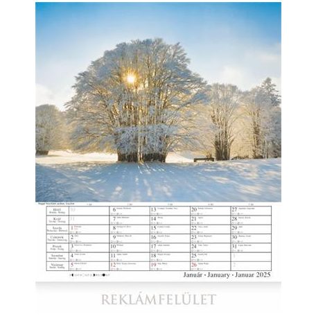 CSG Naptár, fali, CSG "Jó reggelt" 