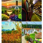 CSG Naptár, fali, CSG "Borvidék"