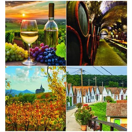 CSG Naptár, fali, CSG "Borvidék"