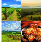 CSG Naptár, fali, CSG "Borvidék"