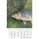 CSG Naptár, fali, CSG "Horgász" 