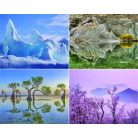 CSG Naptár, fali, CSG, "Alkotó természet"