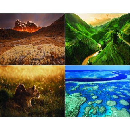 CSG Naptár, fali, CSG, "Alkotó természet"