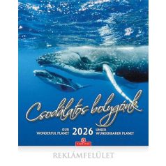 CSG Naptár, fali, CSG, "Csodálatos bolygónk"
