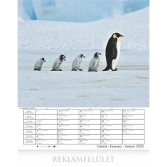 CSG Naptár, fali, CSG, "Csodálatos bolygónk"