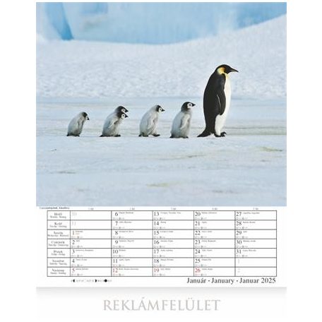 CSG Naptár, fali, CSG, "Csodálatos bolygónk"