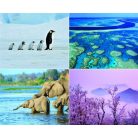 CSG Naptár, fali, CSG, "Csodálatos bolygónk"