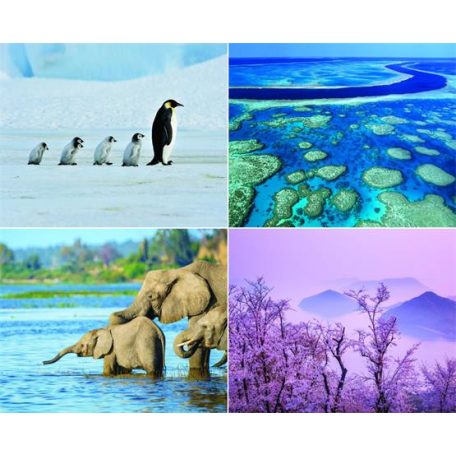 CSG Naptár, fali, CSG, "Csodálatos bolygónk"