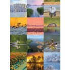 CSG Naptár, fali, CSG, "Vizeink"