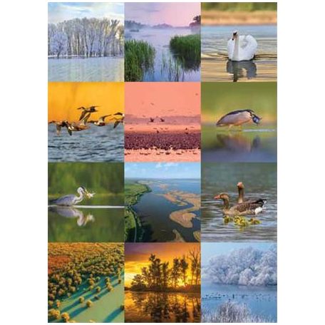 CSG Naptár, fali, CSG, "Vizeink"