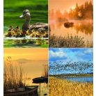 CSG Naptár, fali, CSG, "Vizeink"