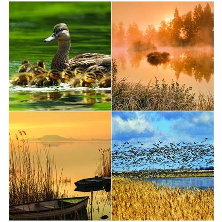 CSG Naptár, fali, CSG, "Vizeink"